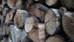 ИАГ затвори цех за преработка на дървесина в Сухиндол зарази злоупотреба - Agri.bg