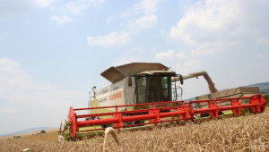Танева: По предварителни данни България отчита най-добрата си зърнена година - Agri.bg