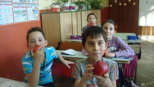 Започна приемът на заявления за участие в Училищните схеми за доставка - Agri.bg