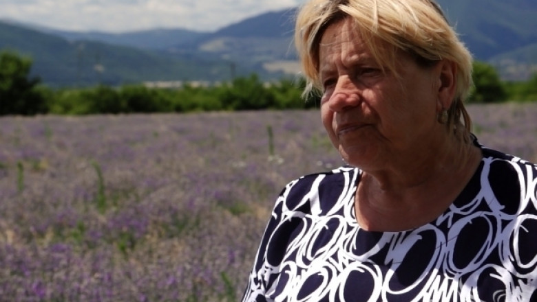 Зара Клисурова разказва за реколтата от лавандула в Карловския регион (ИНТЕРВЮ)