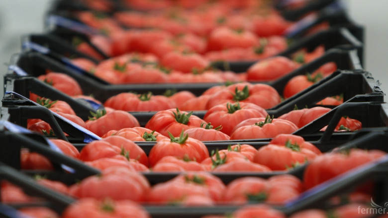 МЗХ опроверга съществуването на Регламент на ЕК, забраняващ розовия домат