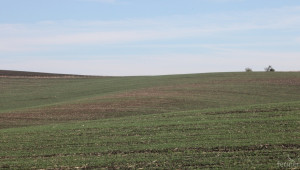 НСИ: Спрямо 2015 г. средната цена на земеделска земя във Видинско се е увеличила - Agri.bg