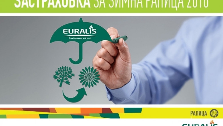 За зимната рапична кампания, Еуралис Семена, предлага застраховка за своите клиенти