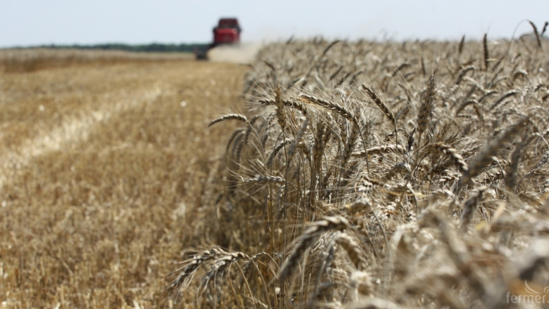 От 230 до 250 лв/тон се изкупува хлебната пшеница в Северозапада 