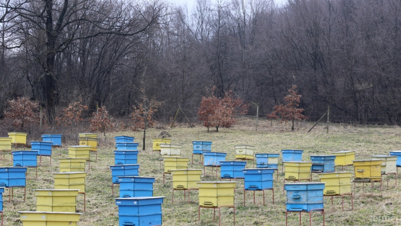 700 килограма пчелен мед са откраднати от къща в Добричко