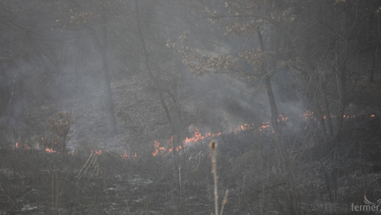 Пожарът, избухнал в района на село Малко Шарково, е овладян