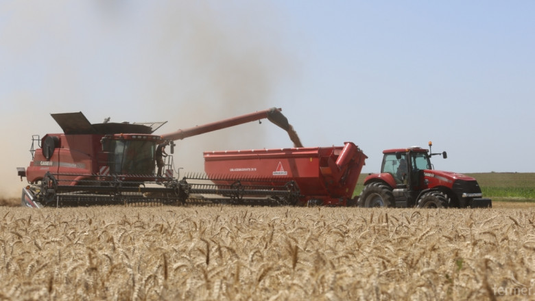 Жътвата на пшеница и рапица в област Силистра приключи