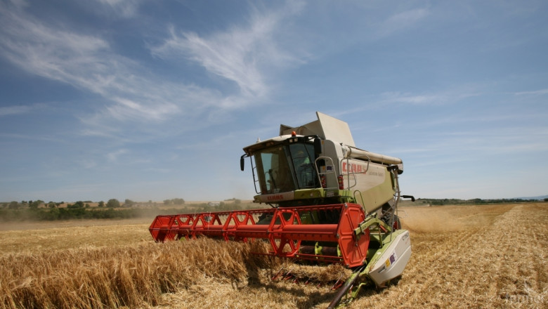 Зърнопроизводител: Ниските добиви, както и ниските изкупни цени, ще доведат до проблеми