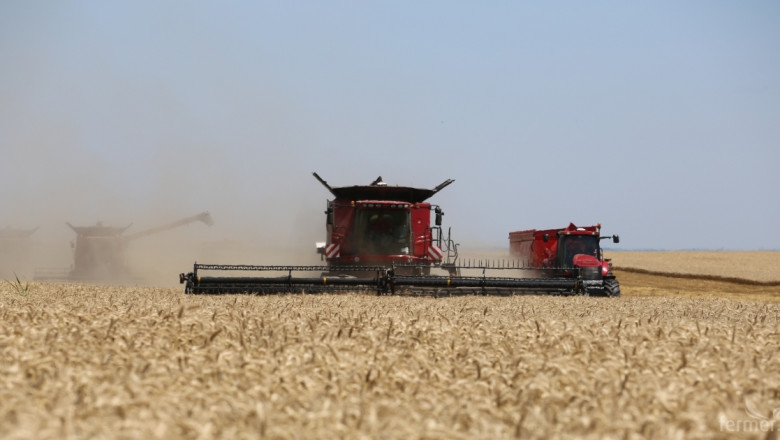 Жътвата на пшеница в област Разград приключва до дни