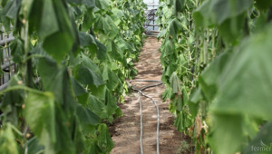 Зеленчукопроизводител използвал безплатна вода, за да полива градината си - Agri.bg