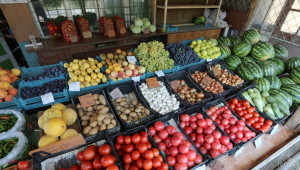 60 % от производителите на плодове и зеленчуци у нас попадат в сивия сектор - Agri.bg