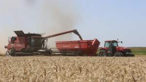 Среден добив от 490 кг от декар пшеница отчитат в Ямболско - Agri.bg