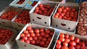 Износът на пресни зеленчуци се повиши. Изнасяме най-много краставици, домати и зеле - Agri.bg