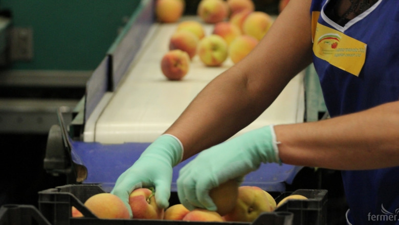 МЗХ събира производители на плодове и зеленчуци относно промените в Наредба 11