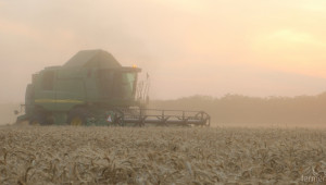 По оперативни данни на МЗХ средният добив при пшеница е в размер на 478 кг/дка - Agri.bg