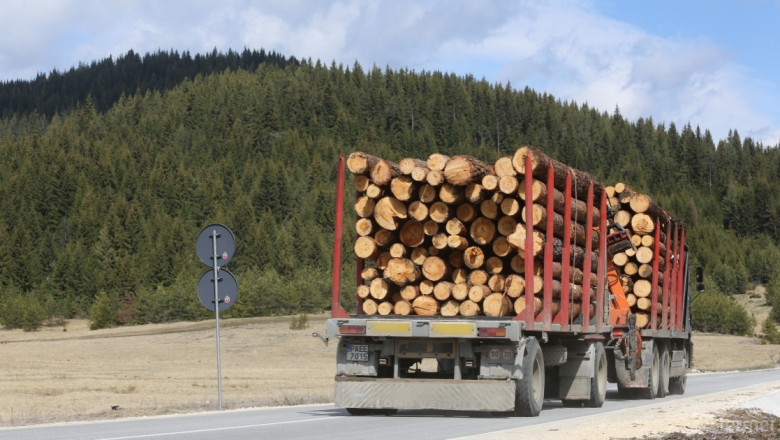 Задържани са 7 кубични метра незаконни дърва за огрев в Благоевградско