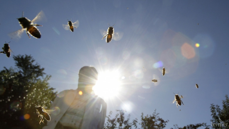 Пчелари осуетиха за втори път пръскането срещу дерматита, протестът продължава и днес