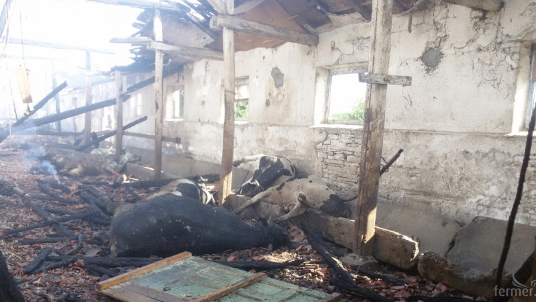 В село Стефан Стамболово изгоря обор с 20 крави 