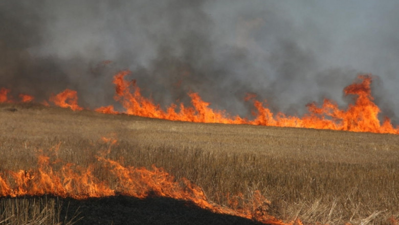 При пожар са унищожени 160 дка с пшеница в област Монтана