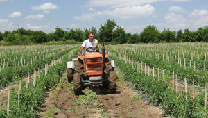 Фермери подадоха над 70 уведомления за инвестиционни планове, необходими за 6.3 през юни - Agri.bg