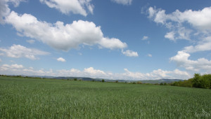 Важна информация относно сроковете за подаване на заявления за земеделски земи  - Agri.bg