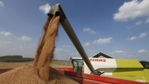 Проф. Иван Панайотов: Очаквам цената на зърното да достигне максимум 0.28 лв/кг. - Agri.bg