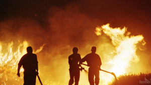 Два нови случая на пожар в житни блокове унищожават общо 19 дка с реколта - Agri.bg