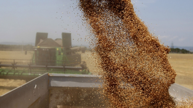 Висок добив, но ниска изкупна цена на ечемика очакват зърнопроизводители