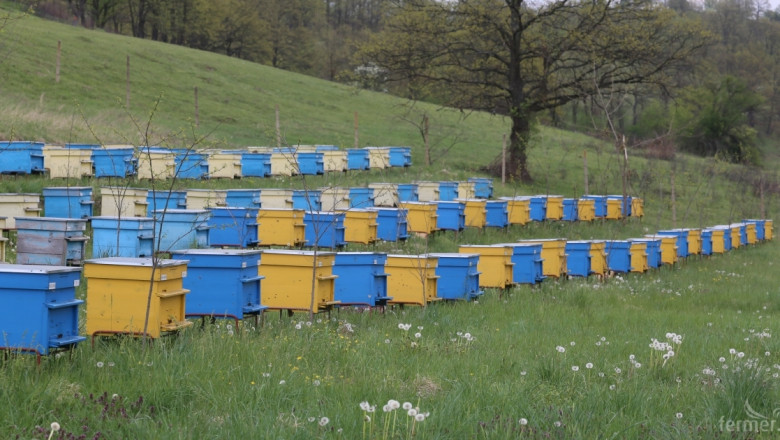 Пчелари прогнозират 50% по-нисък добив на мед през 2016 година