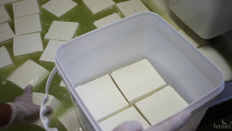 От 250 млекопреработващи предприятия, 11 произвеждат само имитиращи продукти
