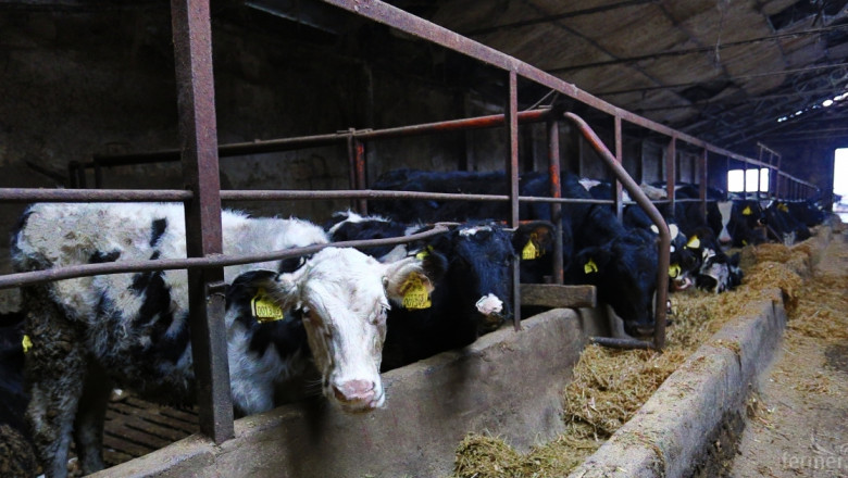 Фермери от Плевенския регион алармираха ГЕРБ за ниската цена на млякото