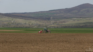 Танева : Увеличава се броя на застрахованите земеделски площи - Agri.bg