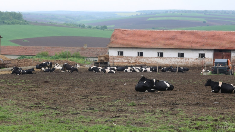 Важна информация за субсидии 2016 на фермери с унищожени от дерматит животни
