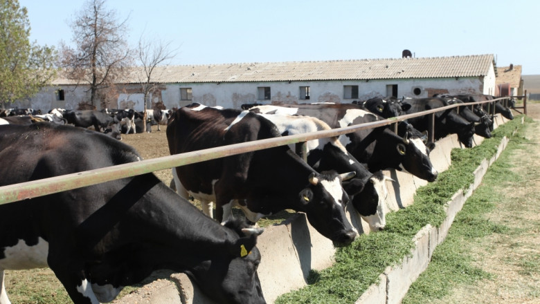 Михаил Михайлов: Борбата за оцеляването на млечното говедовъдство тепърва започва