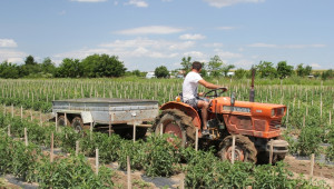 МЗХ публикува проект на Наредбата по мярка 6.3 Стартова помощ за малки стопанства - Agri.bg