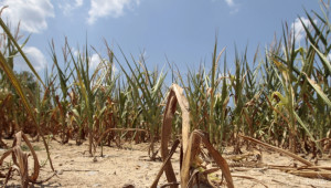 Заради климатичните промени Африка изпада в аграрна криза - Agri.bg