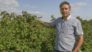Божидар Петков: България е в топ 3 при производството на малини в Европа! (ИНТЕРВЮ) - Agri.bg