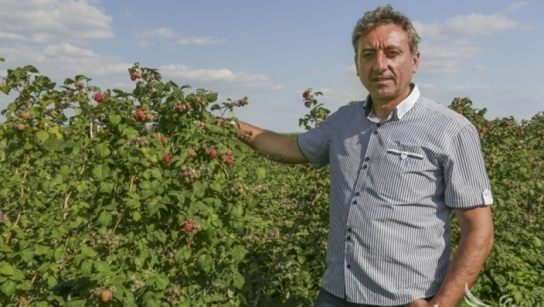 Божидар Петков: България е в топ 3 при производството на малини в Европа! (ИНТЕРВЮ)