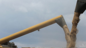 30% повече пшеница е изнесена през порт Варна, спада експортът на царевица - Agri.bg