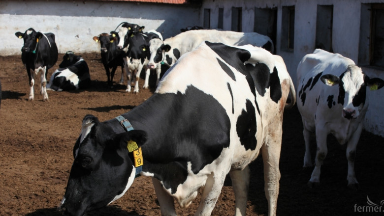 Не пари, а животни в натура, искат фермери за унищожените крави заради нодуларен дерматит 