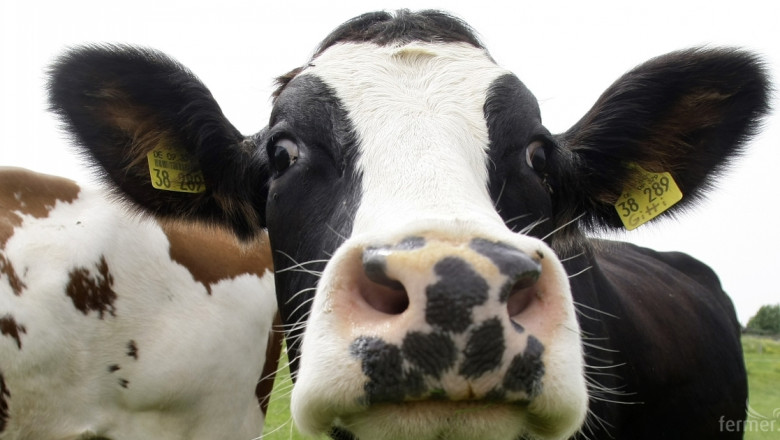 Семинар за подпомагане на млекопроизводители ще се проведе във Враца