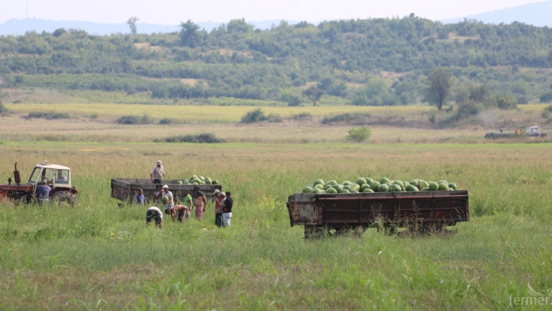 Земеделци са регистрирали 15 000 еднодневни договора за наемане на работници