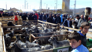 Празник на животновъдството и земеделието ще се проведе в Кресна през април