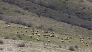 Експерти на МОСВ се срещнаха с животновъди, недоволни от новите такси за паша - Agri.bg