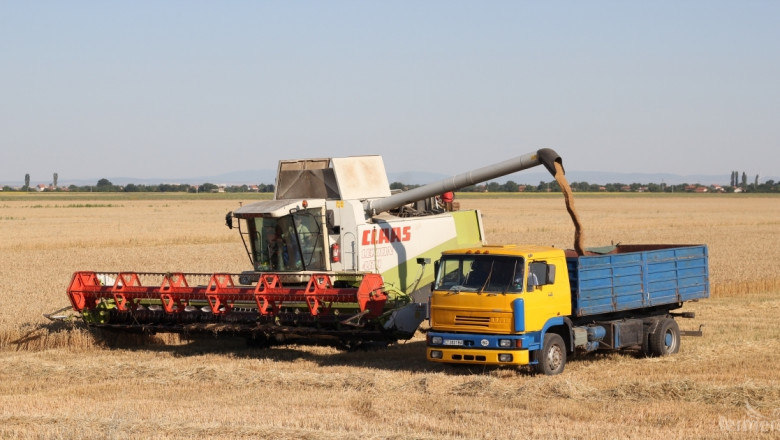 Реколтата от пшеница и лимец през 2015 г. е 5 млн. тона, отчита МЗХ