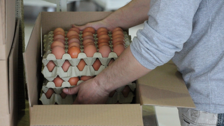 Птицевъди: Стари яйца от Европа се препакетират у нас със сменен срок на годност