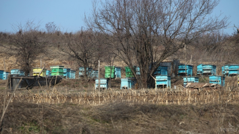 Откраднаха пчелни кошери с пчелите в погранично село