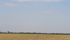 Земеделската земя в Добричкия регион поскъпва, отчитат брокери - Agri.bg