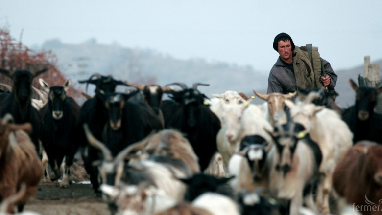 Съветът по животновъдство в Смолян ще заседава в сряда – 16 март