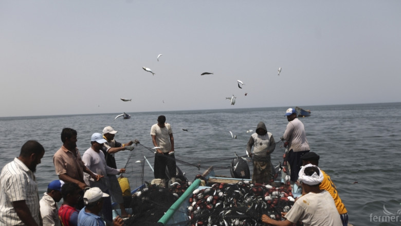 ЕК опростява и децентрализира мерките за опазване на рибните запаси